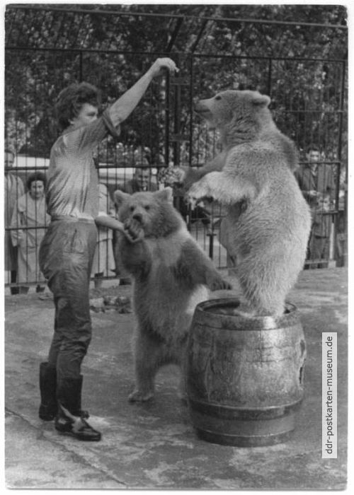 Zoologischer Garten Rostock, Spielstunde bei den Braunbärenkindern - 1963