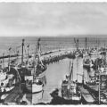 Mole und Hafen für Fischereifahrzeuge - 1964