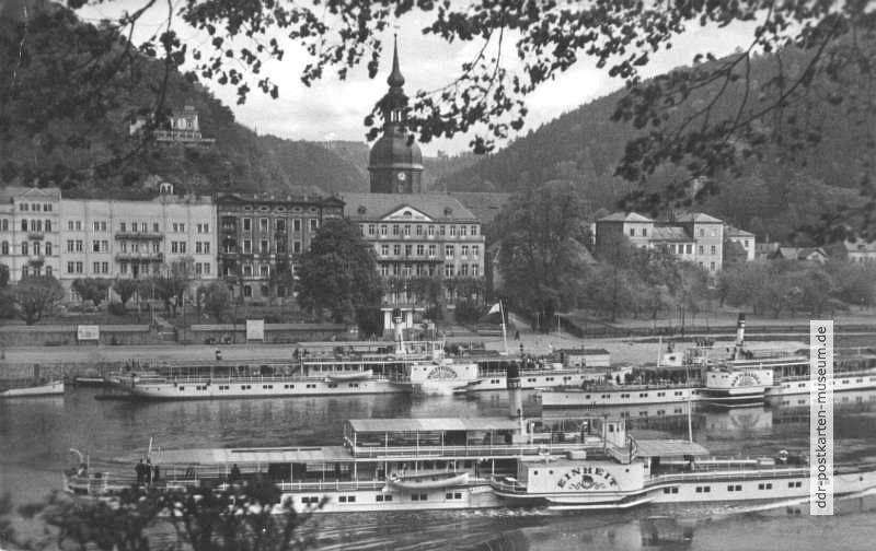 Elbdampfer "Einheit", "Bad Schandau" und "Weltfrieden" in Bad Schandau - 1961