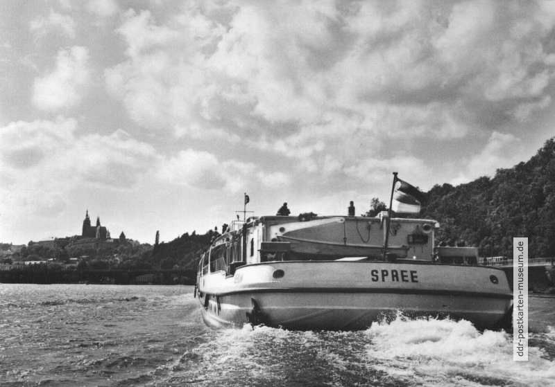 Kabinen-Touristenschiff "Spree" auf der Elbe in Meißen - 1966