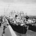 Überseehafen Rostock mit M.S. "Halle" und M.S. "Freundschaft" - 1963