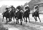 Galopprennen in Hoppegarten (Volkseigener Rennbetrieb ) - 1959