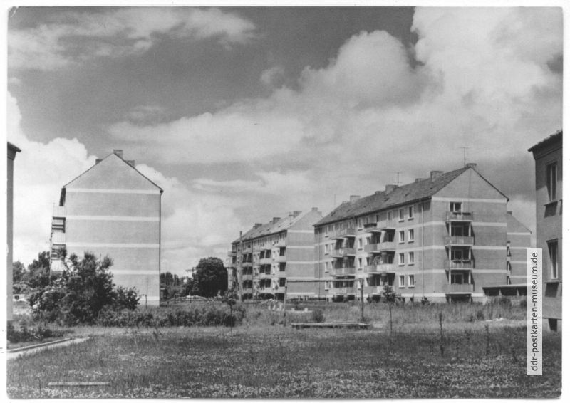 Neubauten an der Prohner Straße - 1964
