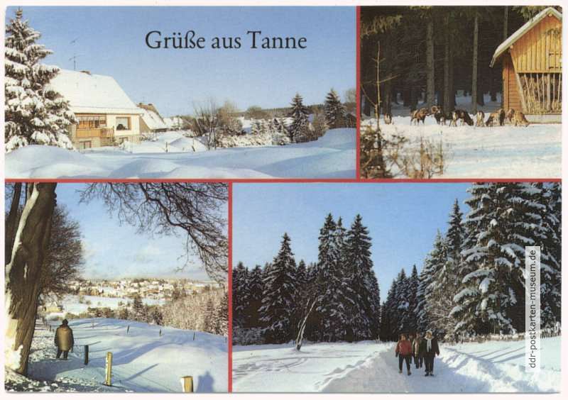 Im Oberdorf, Muffelwild, Blick vom Harteweg, Wanderweg im Harzwald - 1987 