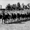 Pferde, Zehnerzug der Hengstparade im Hengstdepot Moritzburg - 1975