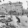 Tauben auf dem Markt in Schwerin - 1980