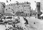 Tauben auf dem Markt in Schwerin - 1980