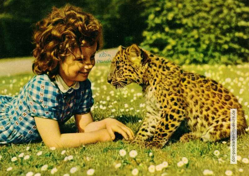 Tierpark Berlin, Kinderfoto mit Leopardenbaby - 1964