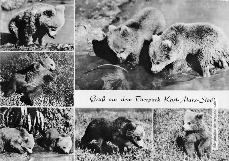 Superformat-Ansichtskarte vom Tierpark Karl-Marx-Stadt - 1980