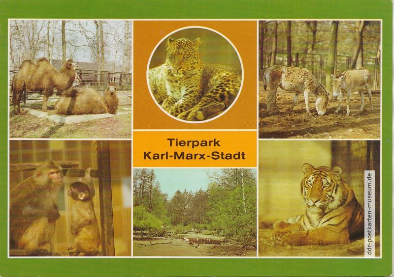 Superformat-Ansichtskarte vom Tierpark Karl-Marx-Stadt - 1984