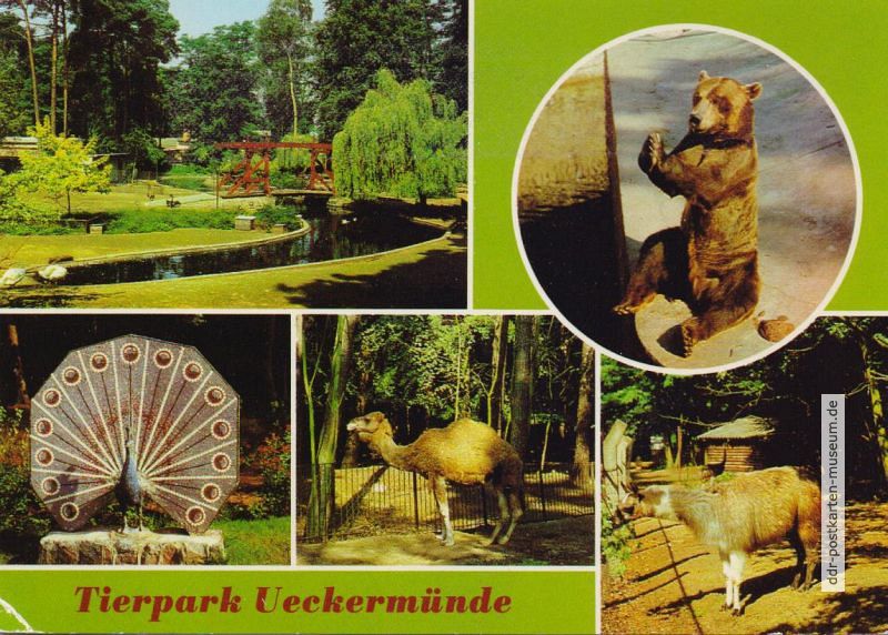 Tierpark Ueckermünde mit Wassergeflügelanlage, Mosaikplastik vom Wappentier - 1983