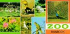 Panorama-Ansichtskarte vom Zoologischen Garten Rostock - 1979