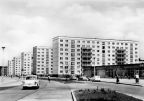 Trabis beherrschen das Straßenbild auch im Neubaugebiet an der Jakobstraße in Magdeburg - 1966