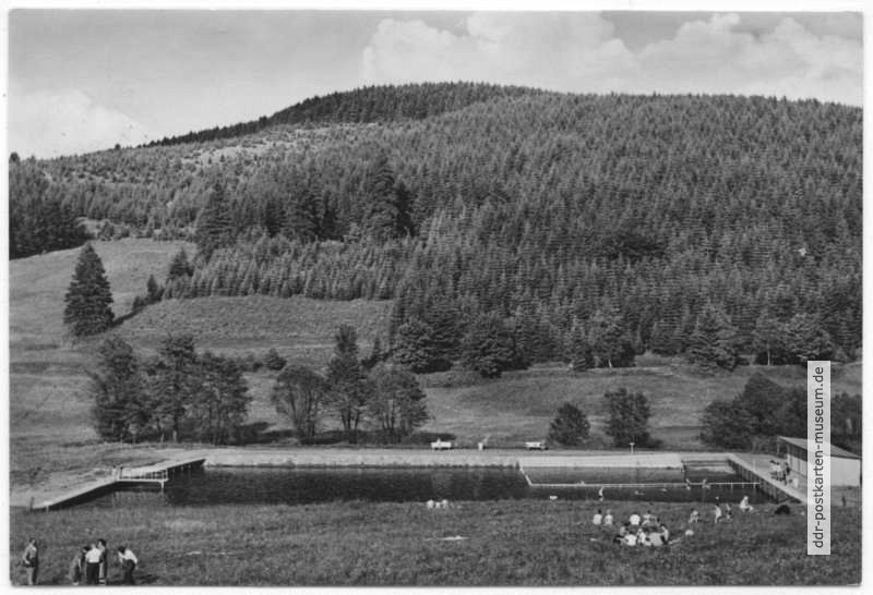 Waldbad bei Trautenstein - 1965