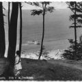 Blick von der Steilküste - 1955