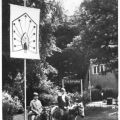 Eselreiten im Tierpark Ueckermünde - 1975
