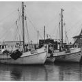 Fischkutter im Hafen von Vitte - 1981
