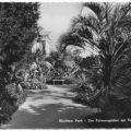 Wörlitzer Park, Palmengarten mit Floratempel - 1964