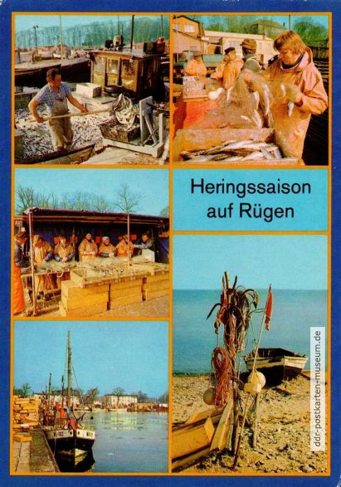 Fischerei in der Heringssaison auf Rügen - 1987