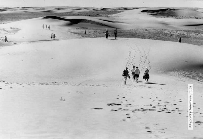 In den Wanderdünen der Wüste Gobi - 1981