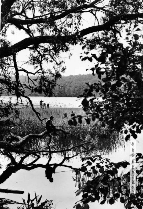 Anglerparadies in den Masuren - 1974