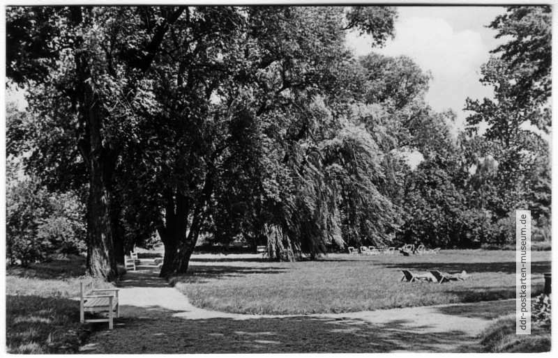 Park des Moorbades - 1967