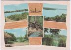 Buckow-See, Wurzelfichte, Griepensee, Kuranlage, Schermützelsee - 1964