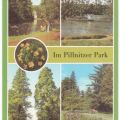 Im Pillnitzer Park - 1986