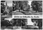 Oberschule, Am Graben, Rosengarten, Liegewiese am Zeuthener See - 1975 / 1985