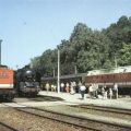Diesel-Lokomotiven 114 769 und 119 152 im Bahnhof Lobenstein - 1990