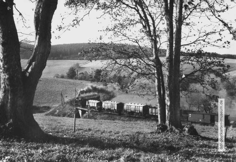 Schmalspurbahn Cranzahl-Oberwiesenthal, Güterzug nach Hammerunterwiesenthal - 1982 1982