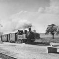 Traditionsbahn Radebeul Ost-Radeburg, Zug im Bahnhof Friedewald - 1978
