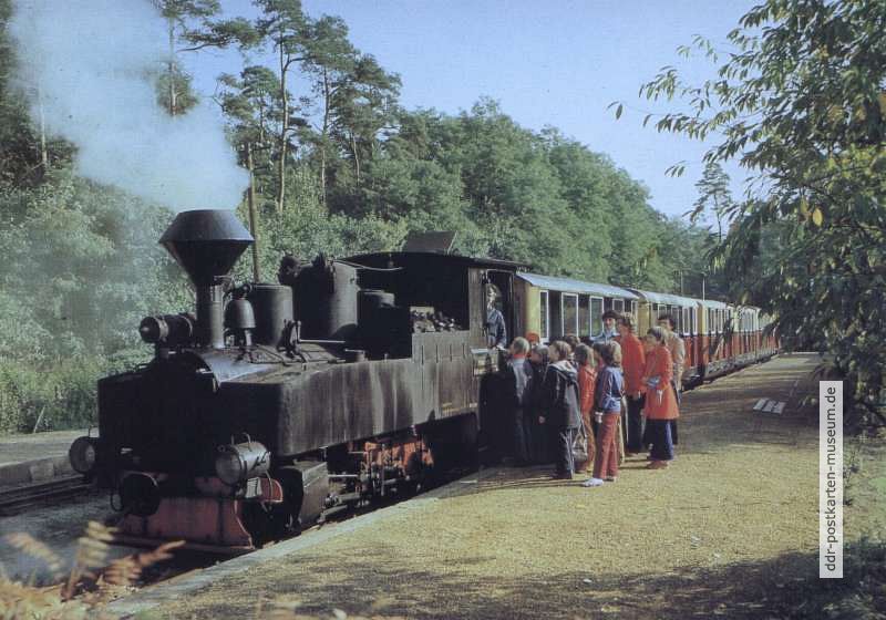 Dampflok mit Pioniereisenbahn im Pionierpark Cottbus - 1982