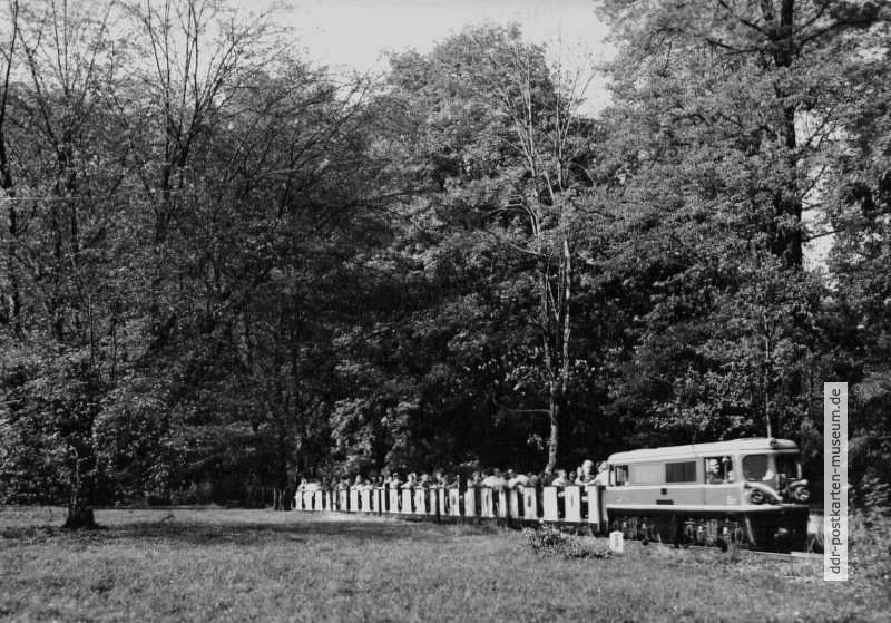 Pioniereisenbahn Dresden im Großen Garten - 1976