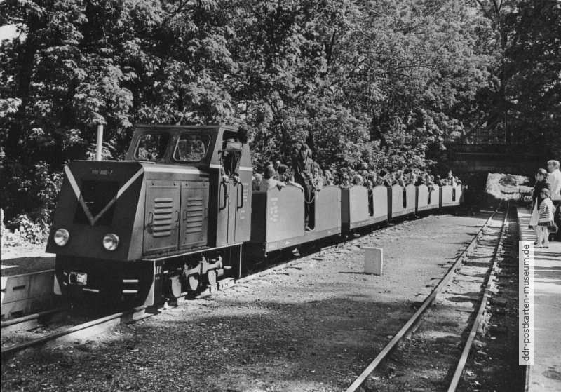 Pioniereisenbahn Halle auf der Peißnitzinsel - 1981