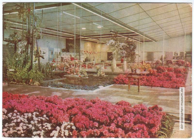 1.IGA 1961 - Halle XIII, Blumen- und Zierpflanzenbau - 1961