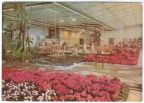 1.IGA 1961 - Halle XIII, Blumen- und Zierpflanzenbau - 1961
