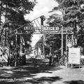 Eingang vom Pionierlager "Alexej Maressjew" in Markgrafenheide - 1959