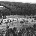 Pionierzeltlager "Mitschurin" bei Raila (Bezirk Gera) - 1969