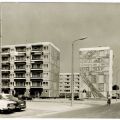 Dubnaring im neuen Stadtteil Schönwalde - 1973