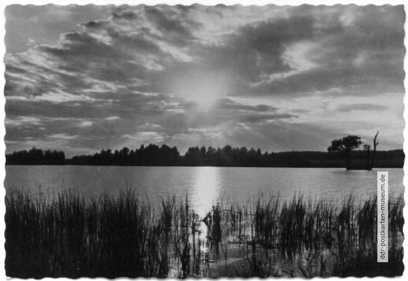 Sonnenuntergang am Münchteich (Mönchteich) - 1962