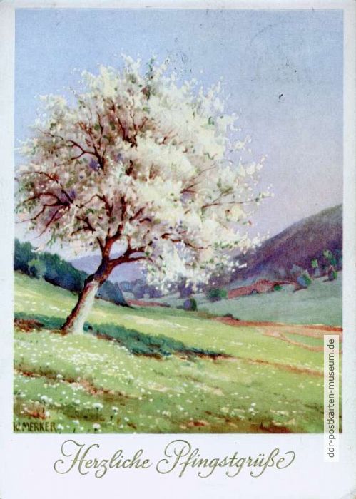 Herzliche Pfingstgrüße - 1954