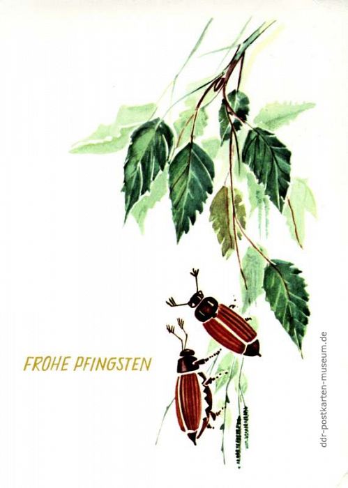 Frohe Pfingsten - 1970