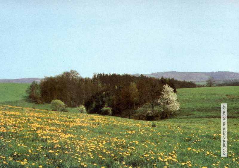 Rückseite: Herzliche Pfingstgrüße - 1985