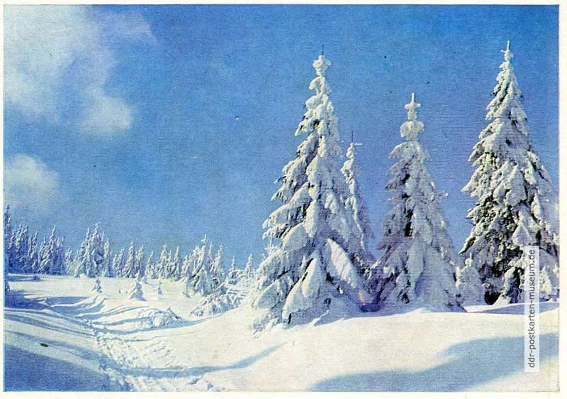 Winter im Erzgebirge - 1963
