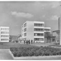 Bildungszentrum der Martin-Luther-Universität - 1973
