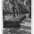 Zinzendorfgräber auf dem Hutberg - 1954