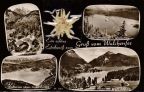 Echtes aufgeklebtes Edelweiß auf Ansichtskarte vom Walchensee (BRD) - um 1960