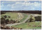 Sachsenring-Rennen, Blick von den Haupttribünen zum Queckenberg - 1971