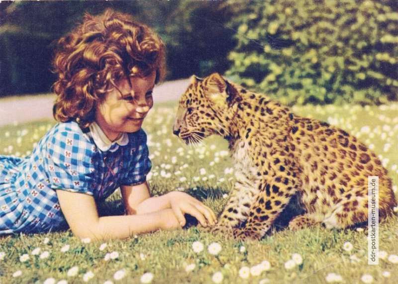 Kind mit Leopardenbaby im Berliner Tierpark - 1964